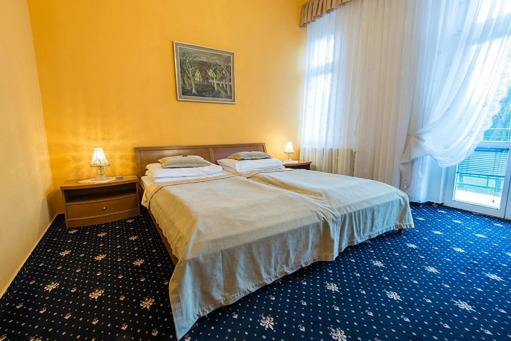 Monti Spa Františkovy Lázně Δωμάτιο φωτογραφία